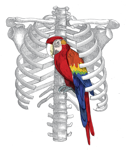 Thorassic Cage by tzigone