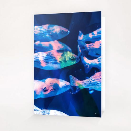 Colorful fish Greeting Card & Postcard by mmartabc