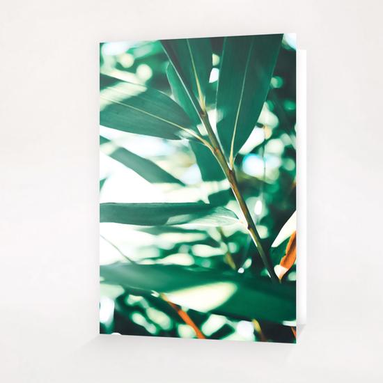 Love leaf Greeting Card & Postcard by mmartabc