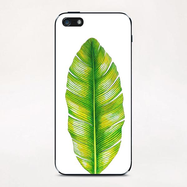 Banana Leaf iPhone & iPod Skin by Nika_Akin