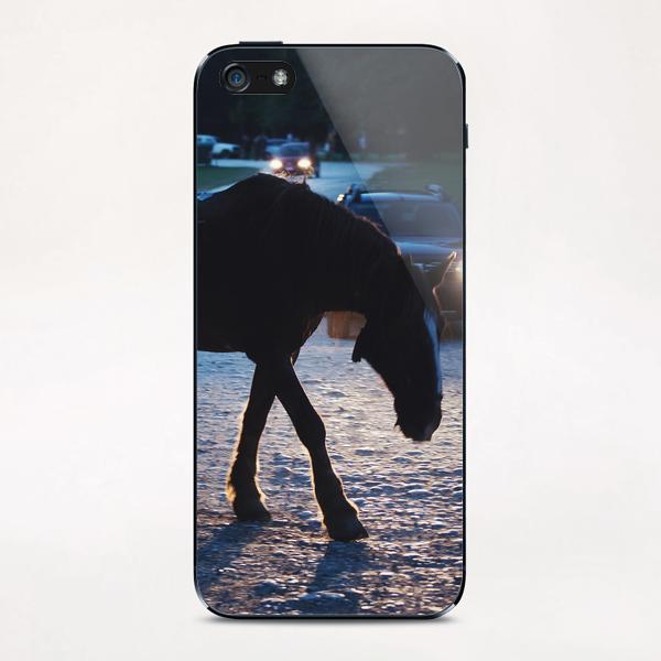 Light behind horses iPhone & iPod Skin by Salvatore Russolillo