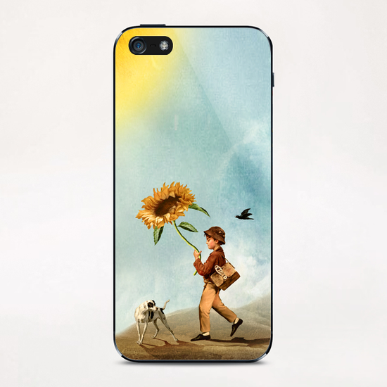 Follow the Sun iPhone & iPod Skin by DVerissimo