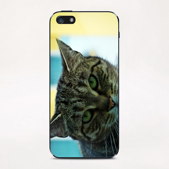 Regard de chat iPhone & iPod Skin by Stefan D