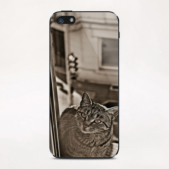 Le chat sur la fenêtre (3) iPhone & iPod Skin by Stefan D