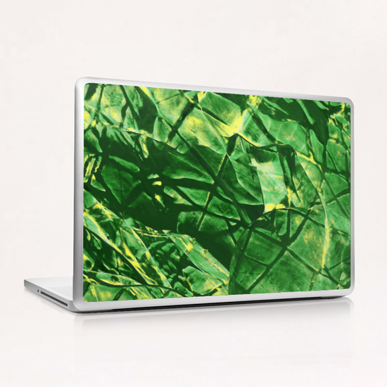 Raschegreen Laptop & iPad Skin by Jerome Hemain