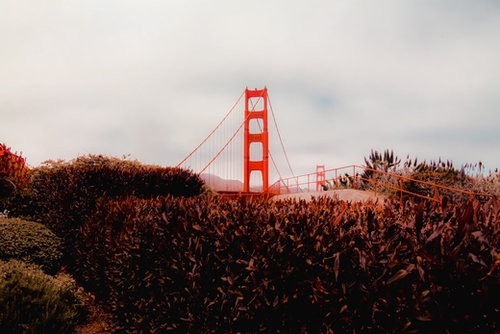 Golden Gate Bridge San francisco USA with cloudy sky Mural by Timmy333