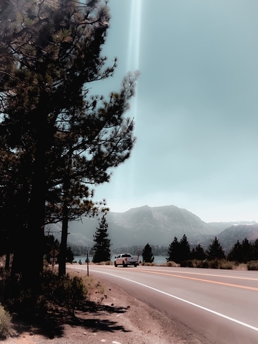 Road with pine tree and mountain view at Mammoth Lakes California Mural by Timmy333