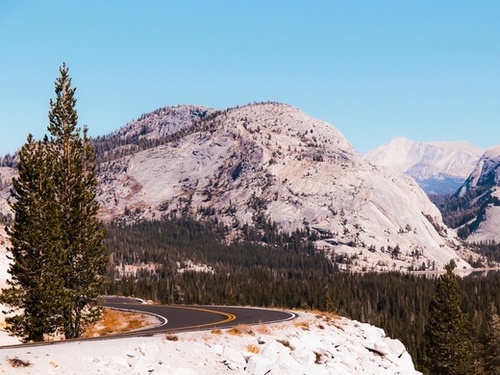 road at Yosemite national park USA Mural by Timmy333