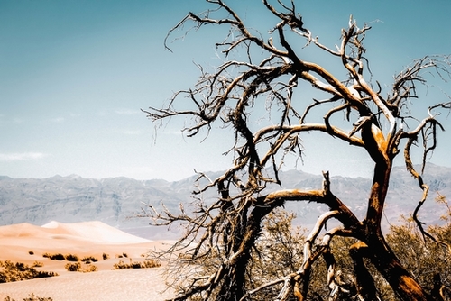 Desert landscape at Death Valley national park, California, USA Mural by Timmy333