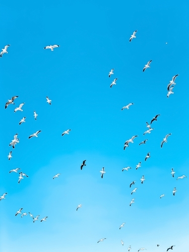 flying birds over the blue sky Mural by Timmy333