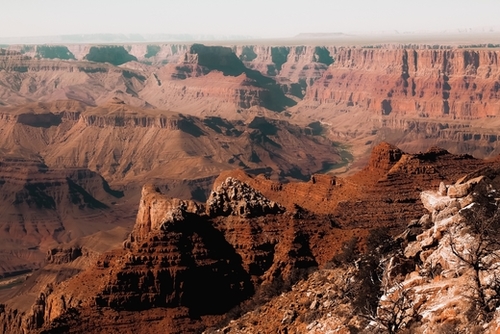 Summer view in the desert at Grand Canyon national park USA Mural by Timmy333