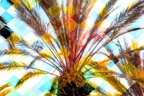 palm tree with geometric pixel square pattern abstract in yellow blue Mural by Timmy333