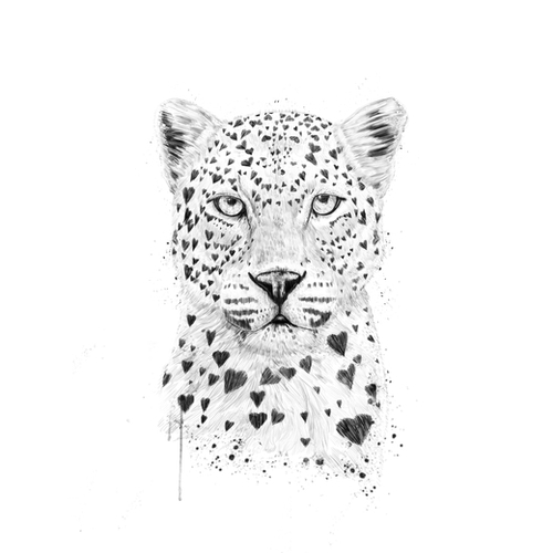 Lovely leopard Mural by Balazs Solti