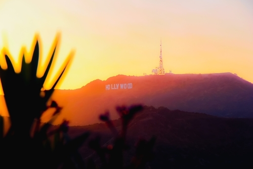 sunset sky at Hollywood Sign Los Angeles California USA Mural by Timmy333