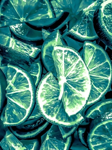 closeup slices of lime background Mural by Timmy333
