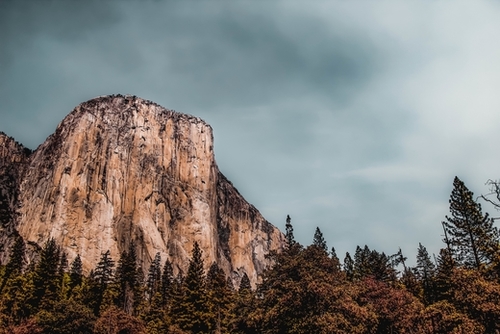 mountain and pine tree at Yosemite national park California USA Mural by Timmy333