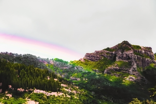 rainbow over the green tropical mountain at Kauai, Hawaii, USA Mural by Timmy333