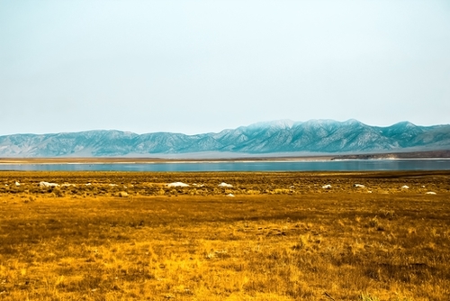 dry grass field and mountains background in California Mural by Timmy333