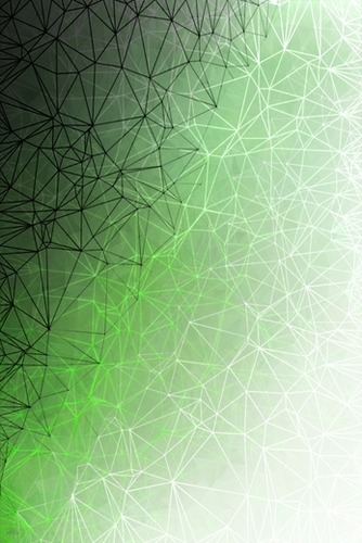 fractal geometric line pattern abstract art in green Mural by Timmy333