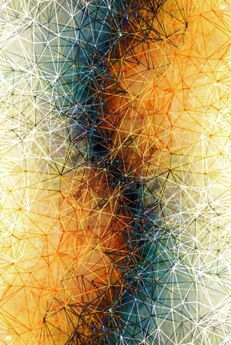 fractal geometric line pattern abstract art in orange brown blue Mural by Timmy333