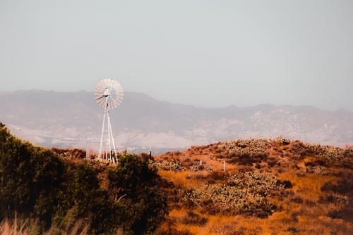 windmill and green cactus garden with mountain view and blue sky Mural by Timmy333