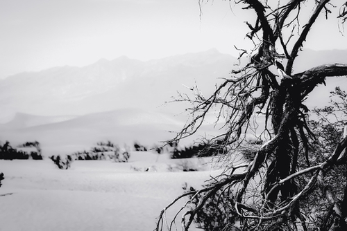 desert at Death Valley national park California in black and white Mural by Timmy333