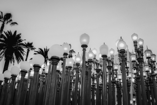 Urban Light at LACMA Los Angeles California USA in black and white Mural by Timmy333
