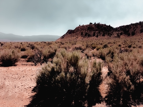 Desert scenic with foggy blue sky in California USA Mural by Timmy333