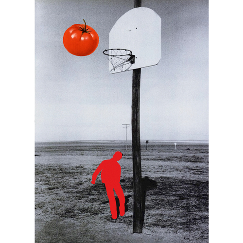 Tomato Mural by Lerson