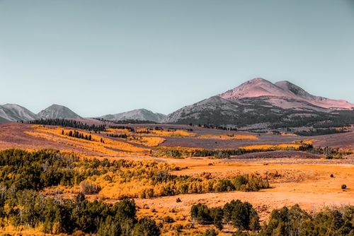 autumn tree with mountains and blue sky background in California USA Mural by Timmy333