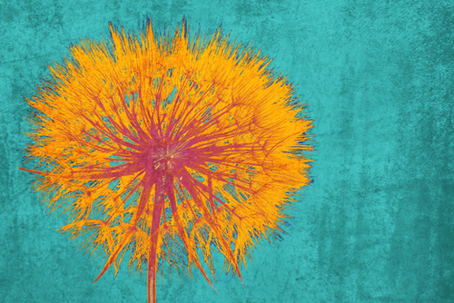 Dandelion Mural by Irena Orlov