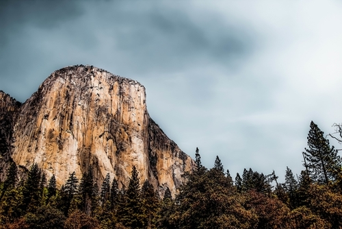 Mountains and pine tree with blue cloudy sky at Yosemite national park, California, USA Mural by Timmy333