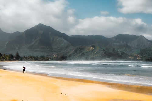 jogging at the beach with green mountain scenic Kauai Hawaii USA Mural by Timmy333