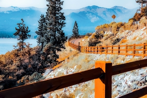 walkway with pine tree and mountains view at Lake Tahoe, Nevada, USA Mural by Timmy333