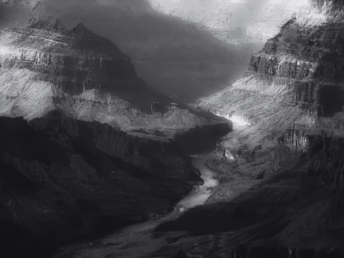 Desert at Grand Canyon national park Arizona USA in black and white Mural by Timmy333