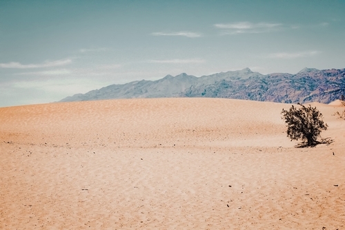 Sand desert and mountain view at Death Valley national park California USA Mural by Timmy333