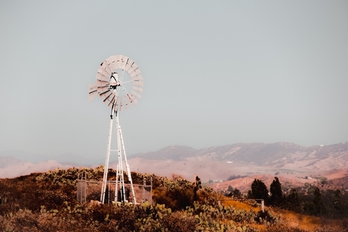 windmill and cactus garden with mountain view and blue sky background Mural by Timmy333