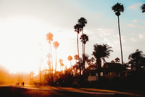 summer sunset sky with palm tree view in California USA Mural by Timmy333