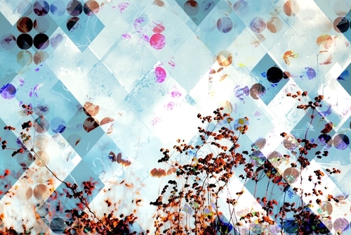 blooming wildflower with blue geometric pixel square pattern Mural by Timmy333
