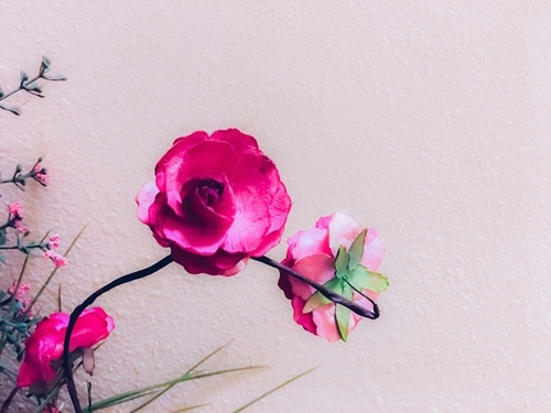 closeup blooming pink flowers with white wall background Mural by Timmy333