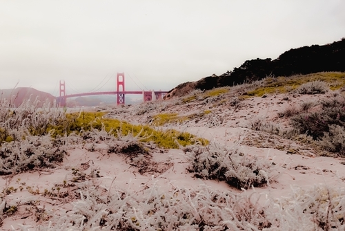 At Golden Gate bridge San Francisco California USA Mural by Timmy333