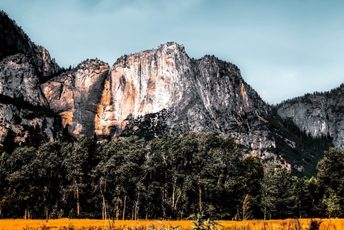 mountains with pine tree and blue sky at Yosemite national park, California, USA Mural by Timmy333
