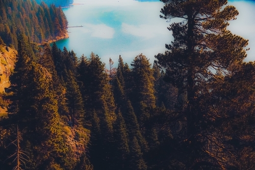 Lake and pine tree at Emerald Bay Lake Tahoe California USA Mural by Timmy333