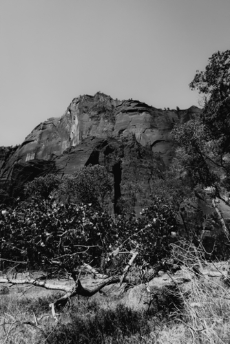 mountain in the forest at Zion national park Utah USA in black and white Mural by Timmy333