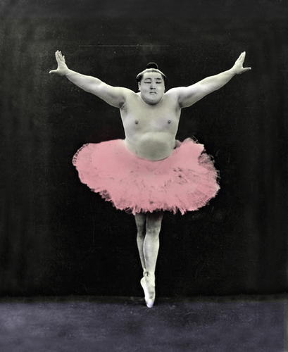 Sumo Ballet Mural by tzigone