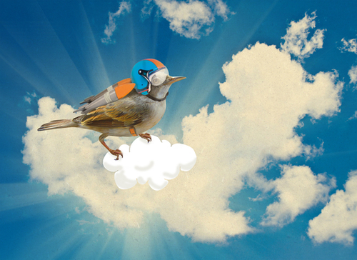 Rocket Bird Mural by tzigone