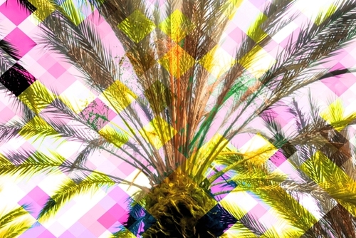 palm tree with geometric pixel square pattern abstract in pink yellow Mural by Timmy333