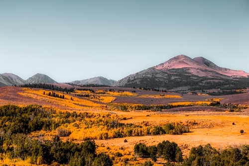 autumn landscape with mountain view and blue sky in California USA Mural by Timmy333