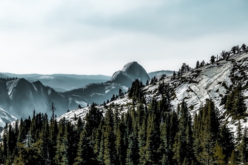 Mountains with pine tree at Yosemite national park, California, USA Mural by Timmy333