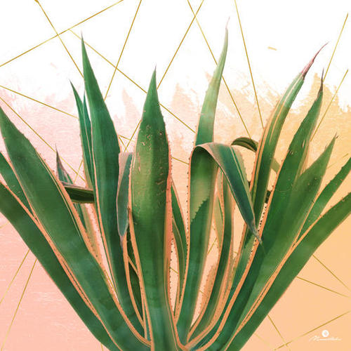 Cactus with geometric Mural by mmartabc